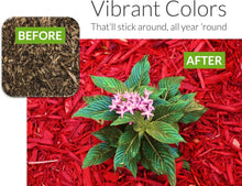Load image into Gallery viewer, 1 Gallon Red Mulch Dye Concentrate – Effortless Curb Appeal for Landscapes