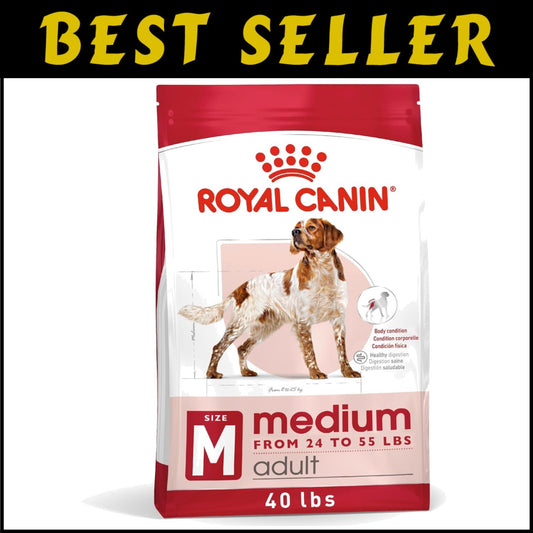 40 lb Medium Adult Dry Dog Food with Antioxidants for Healthy Immune System