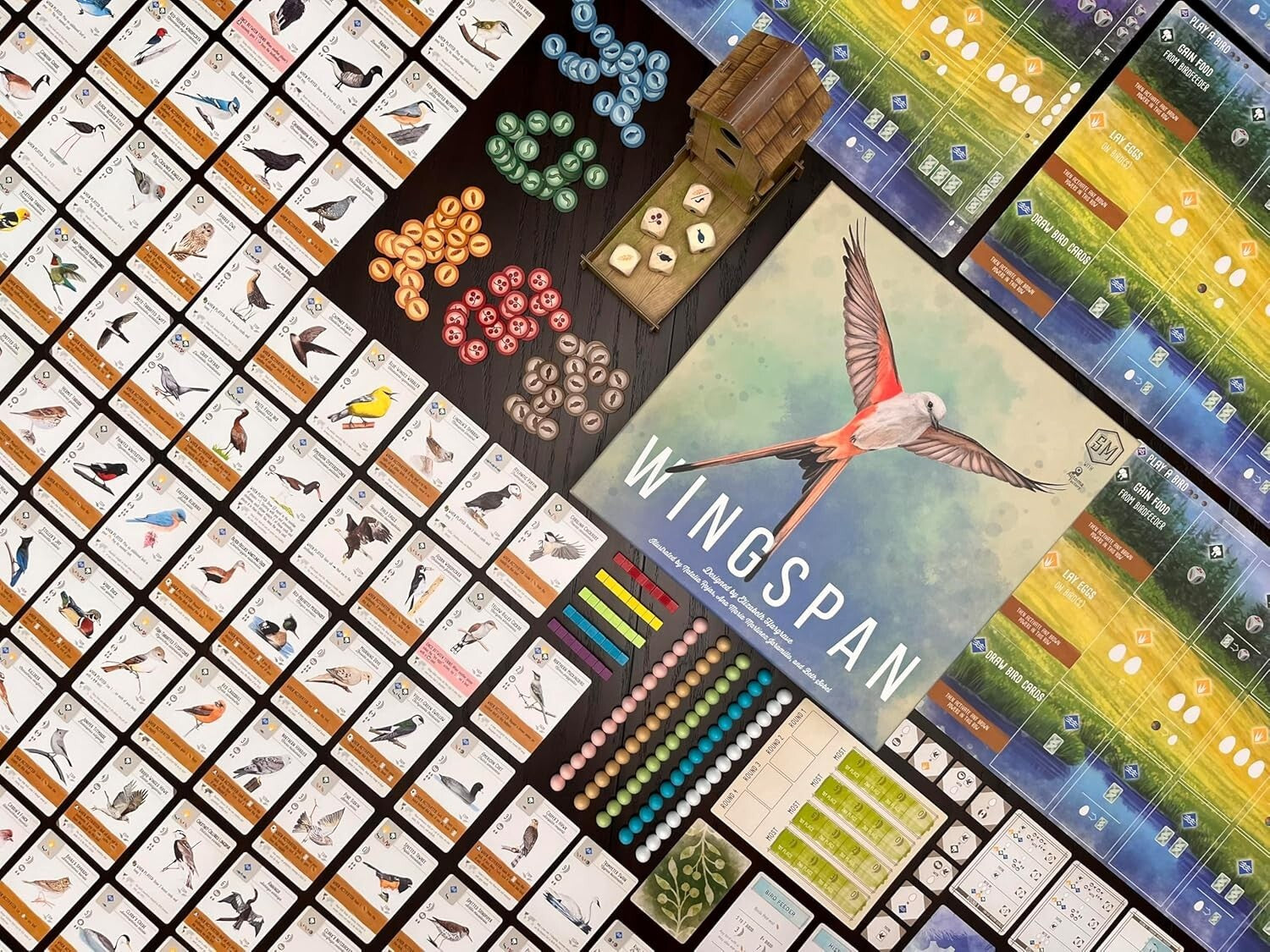 Wingspan Board Game - Beautifully Illustrated Strategy for Bird Lovers (14+)