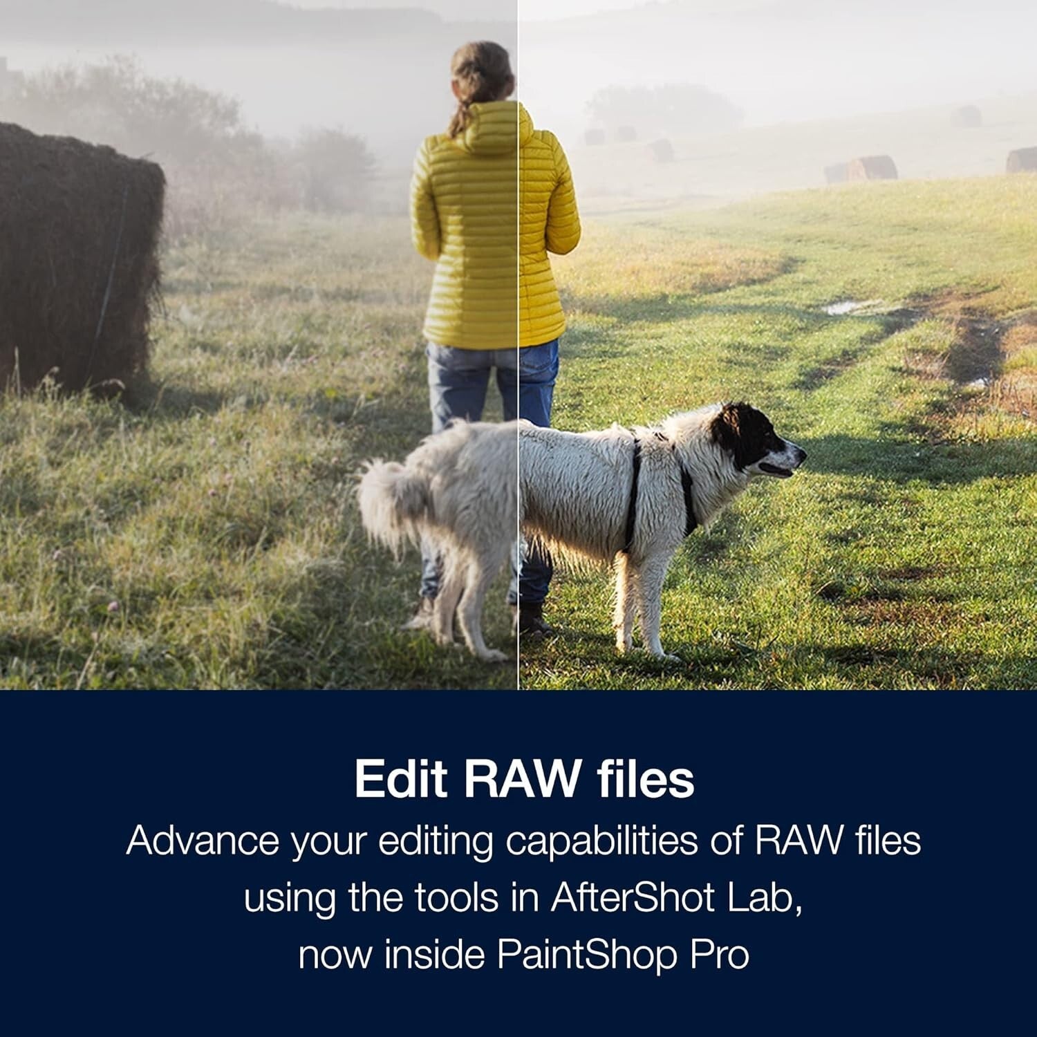 PaintShop Pro 2023 Ultimate Package with Creative Suite & Advanced Editing Tools