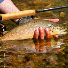Load image into Gallery viewer, 97-Inch Collapsible Fly Fishing Combo with Accessories &amp; Carrying Case Included