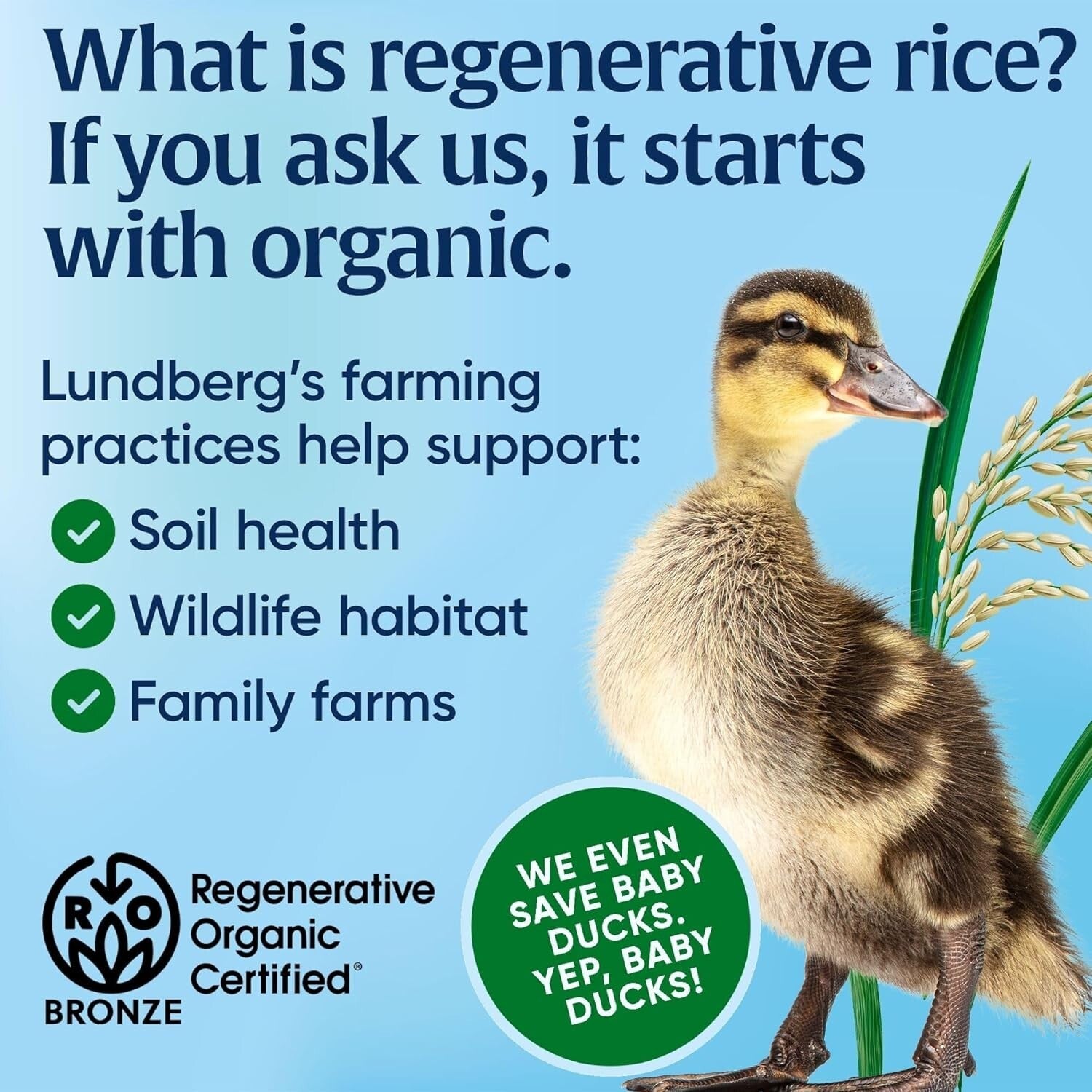 Family Farms Regenerative Organic Sushi Rice 6-Pack - Perfect for Sushi and More