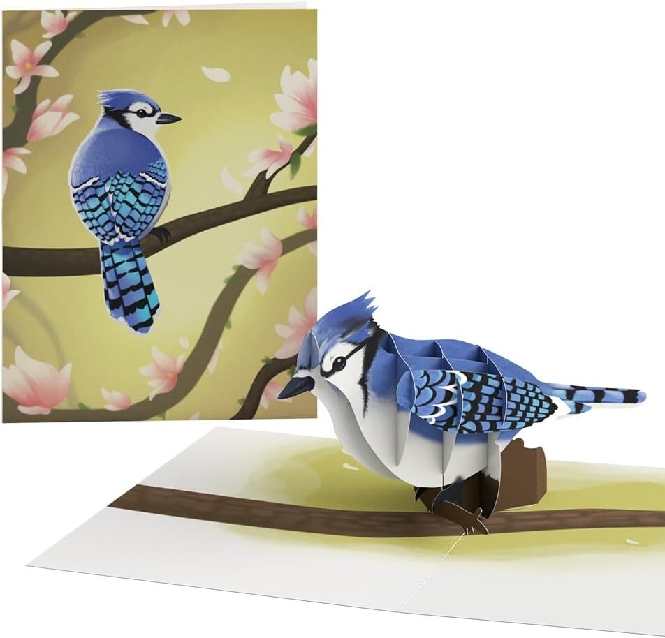 Celebrate Spring with 12 Assorted 3D Pop-Up Bird Cards & Envelopes Included