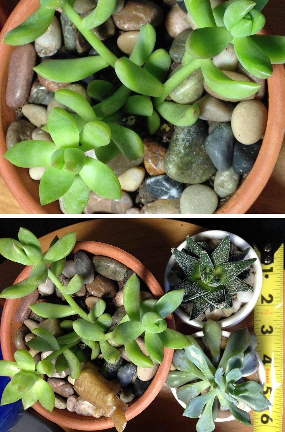 40 LBS Natural River Rock Stones – Decorative Polished Pebbles for Landscaping