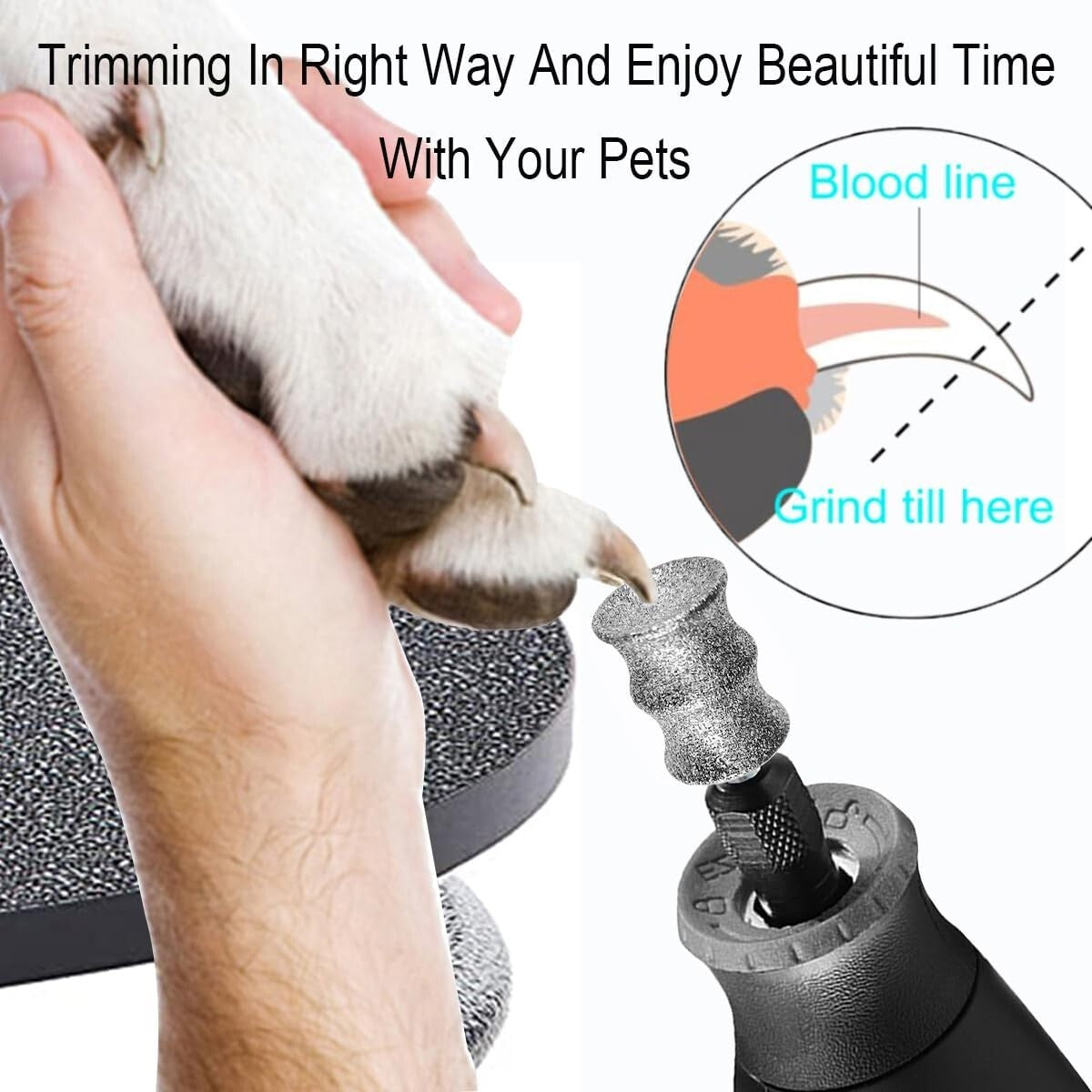 2-Pack Diamond Nail Grinder Bits for Dremel - Essential Grooming for Thick Nails