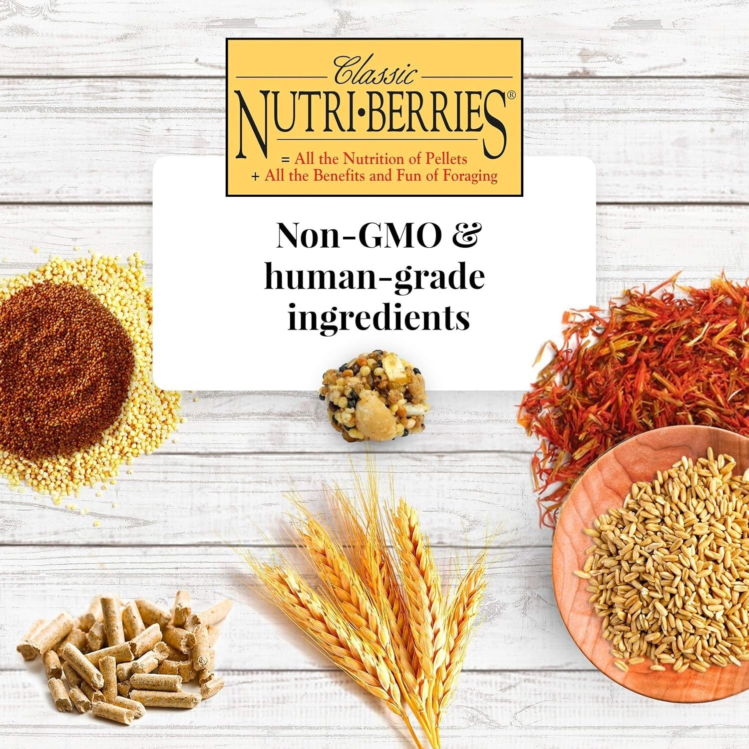 Classic Nutri-Berries for Parrots - Foraging-Friendly & Nutritious 14 lb Pack