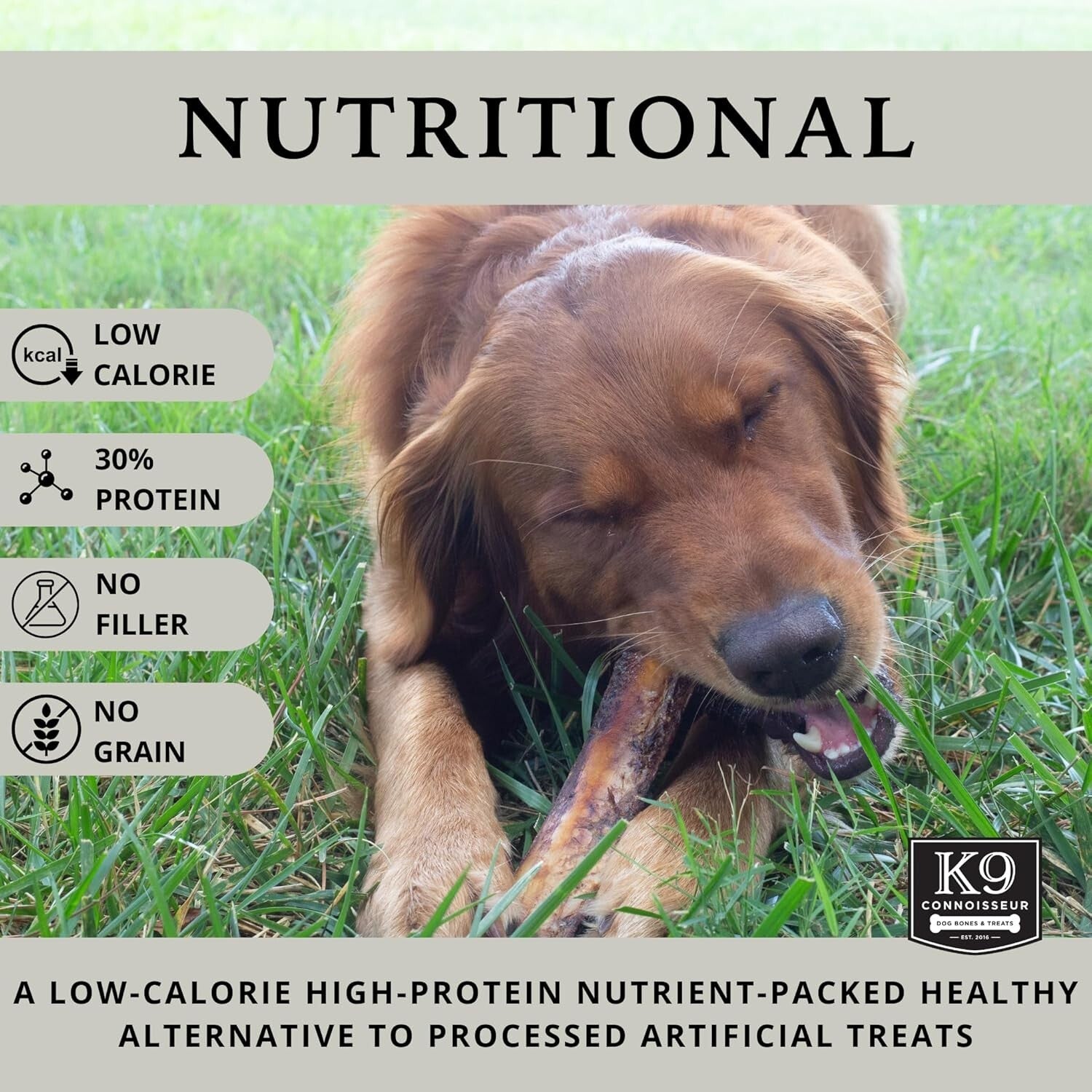 Healthy Low-Calorie Beef Chews for Aggressive Large Breed Dogs - 10 Count