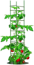 Load image into Gallery viewer, Green 73-Inch Triangular Tomato Trellis - Adjustable Stake Garden Support