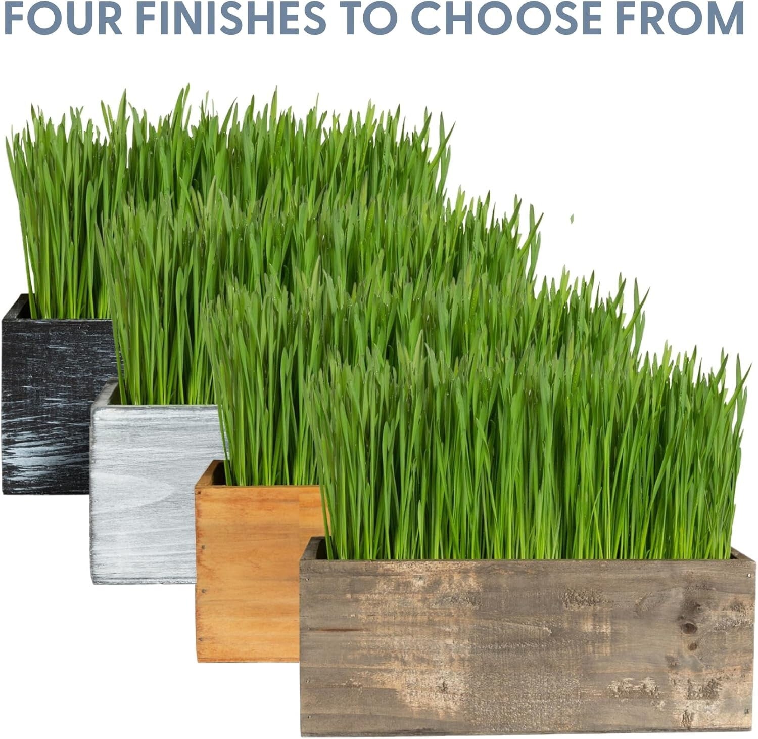Elegant Cat Grass Kit in Rustic Wood Planter - Nourish & Decorate Your Home