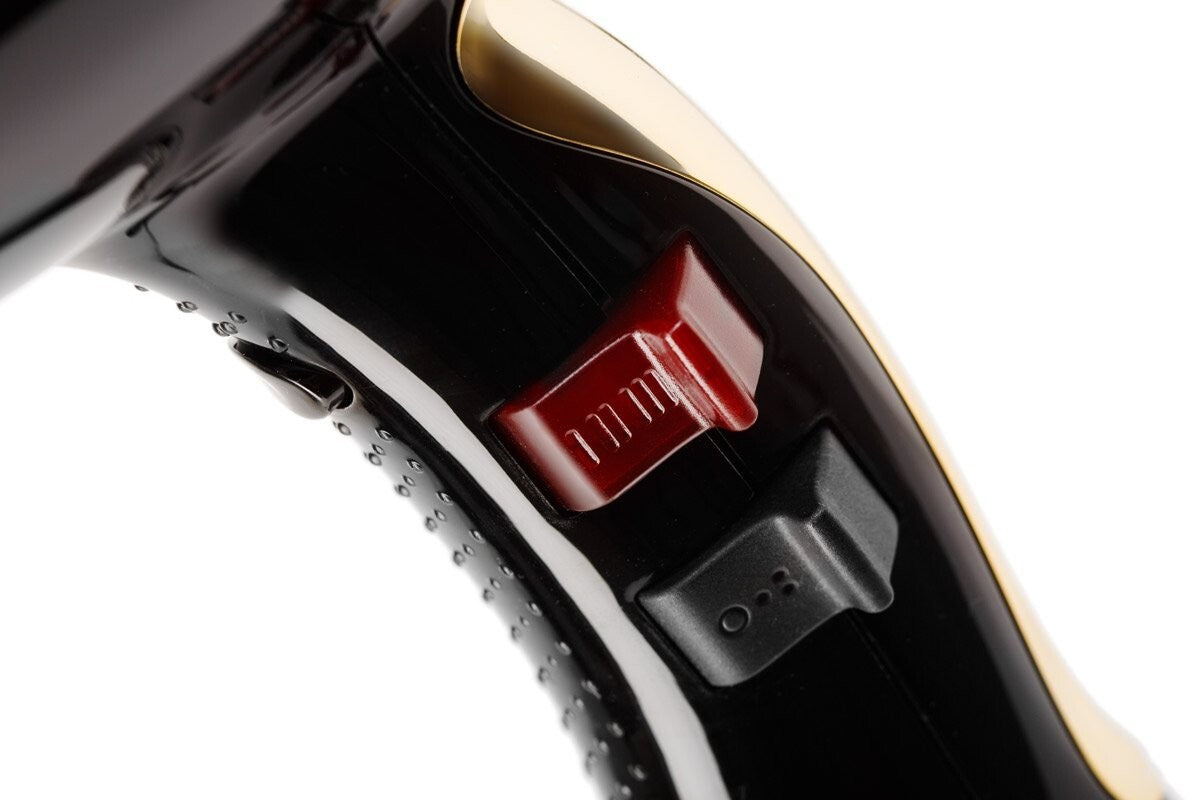 Healthy & Light Ionic Hair Dryer - 2000 Watts, 2 Concentrators, Stylish Options