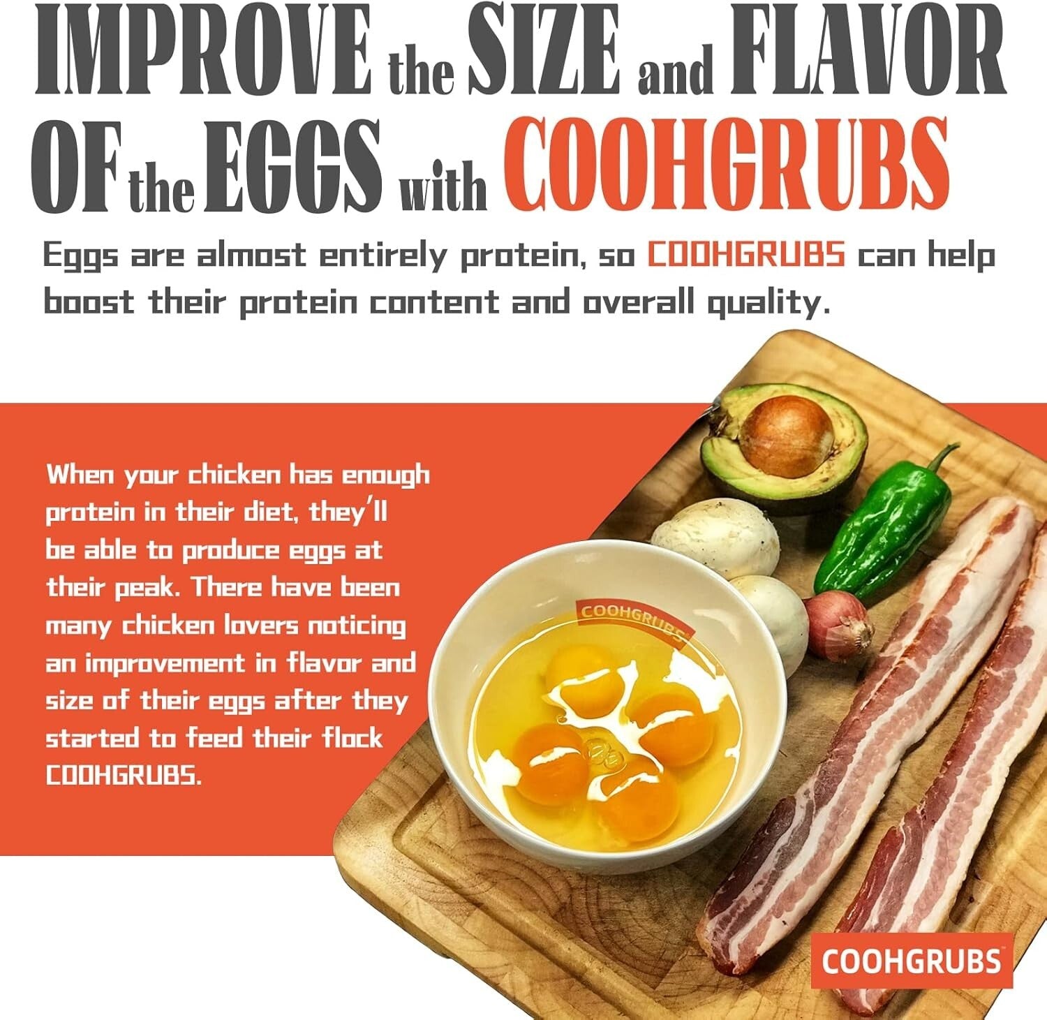 Boost Chicken Health with 10 lb. Black Soldier Fly Larvae: All Breed Suitable