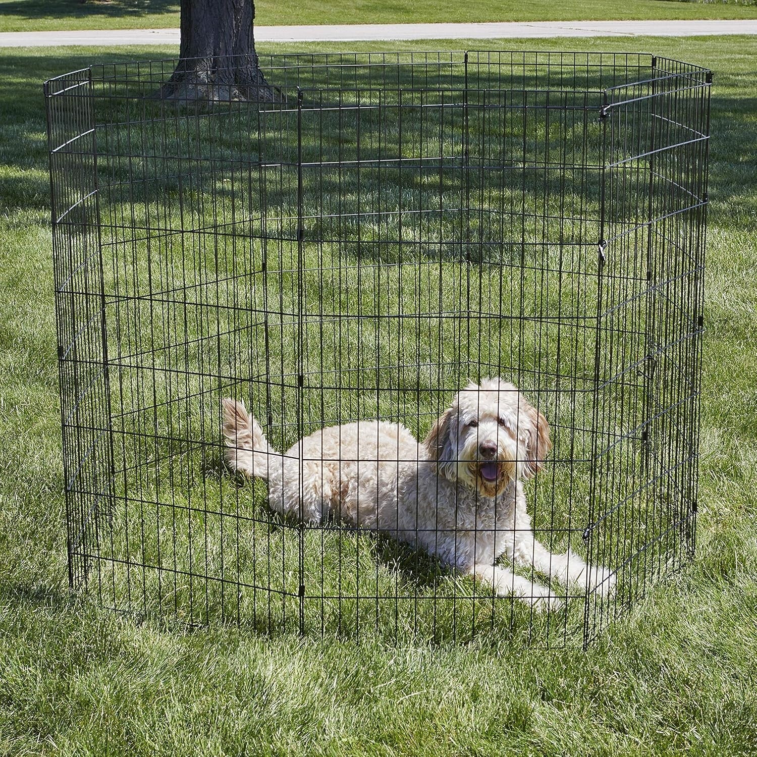 X-Large Metal Dog Exercise Pen - 24"W x 48"H Modular Panels for Versatility