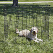 Load image into Gallery viewer, X-Large Metal Dog Exercise Pen - 24"W x 48"H Modular Panels for Versatility