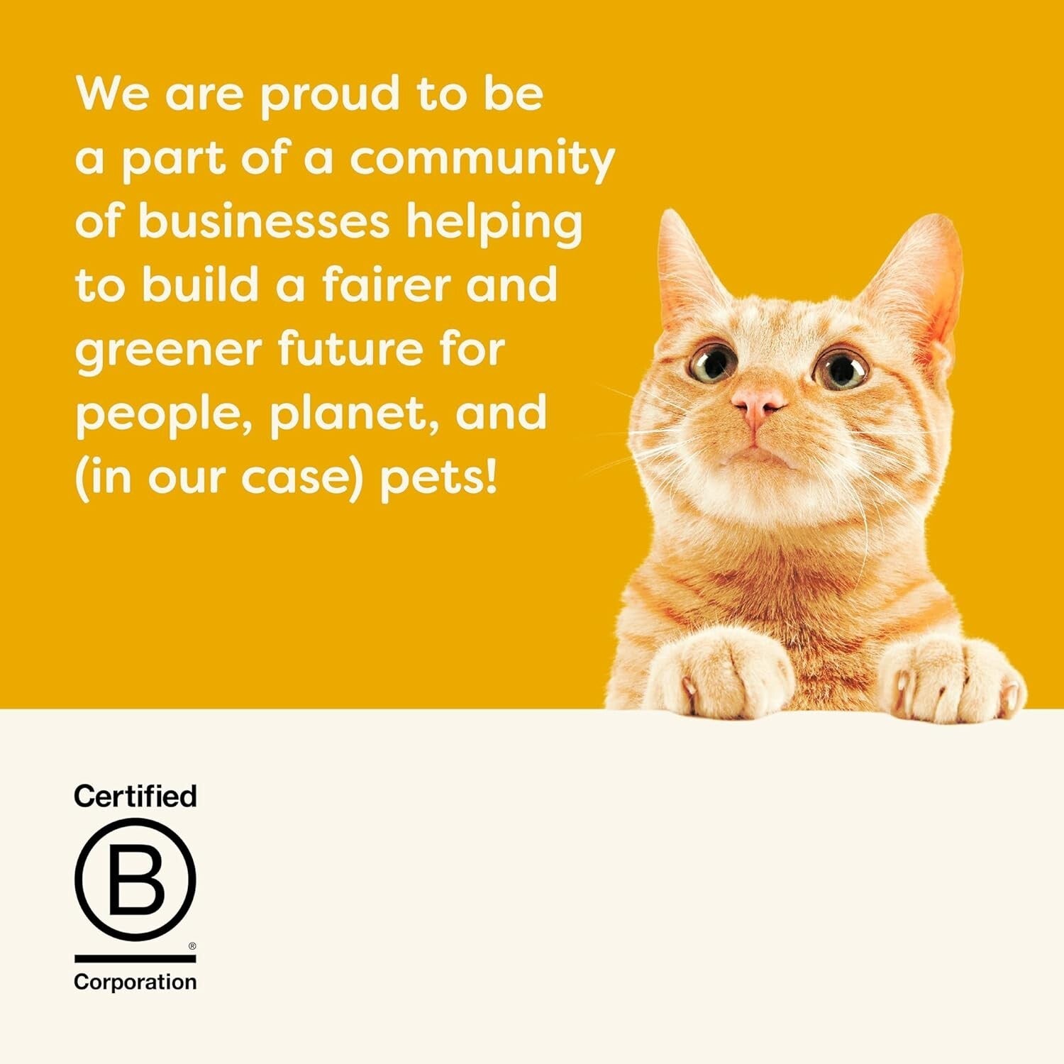 High-Protein Natural Wet Cat Food: Chicken & Tuna Fillet in Broth - 24 x 2.47oz