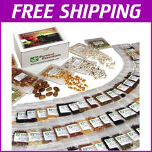 Load image into Gallery viewer, Diverse Heirloom Seed Collection - 135 Varieties for Organic Gardening Joy