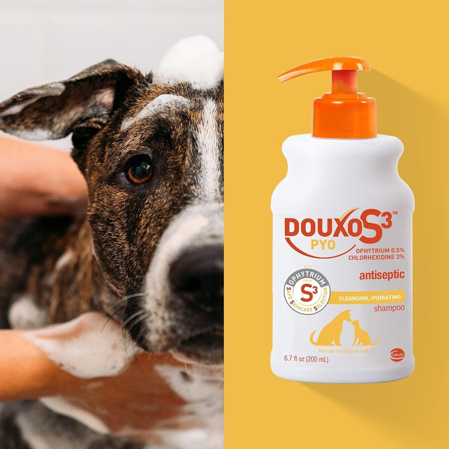 S3 PYO 500mL Shampoo - Vet-Recommended for Dogs & Cats with Skin Issues