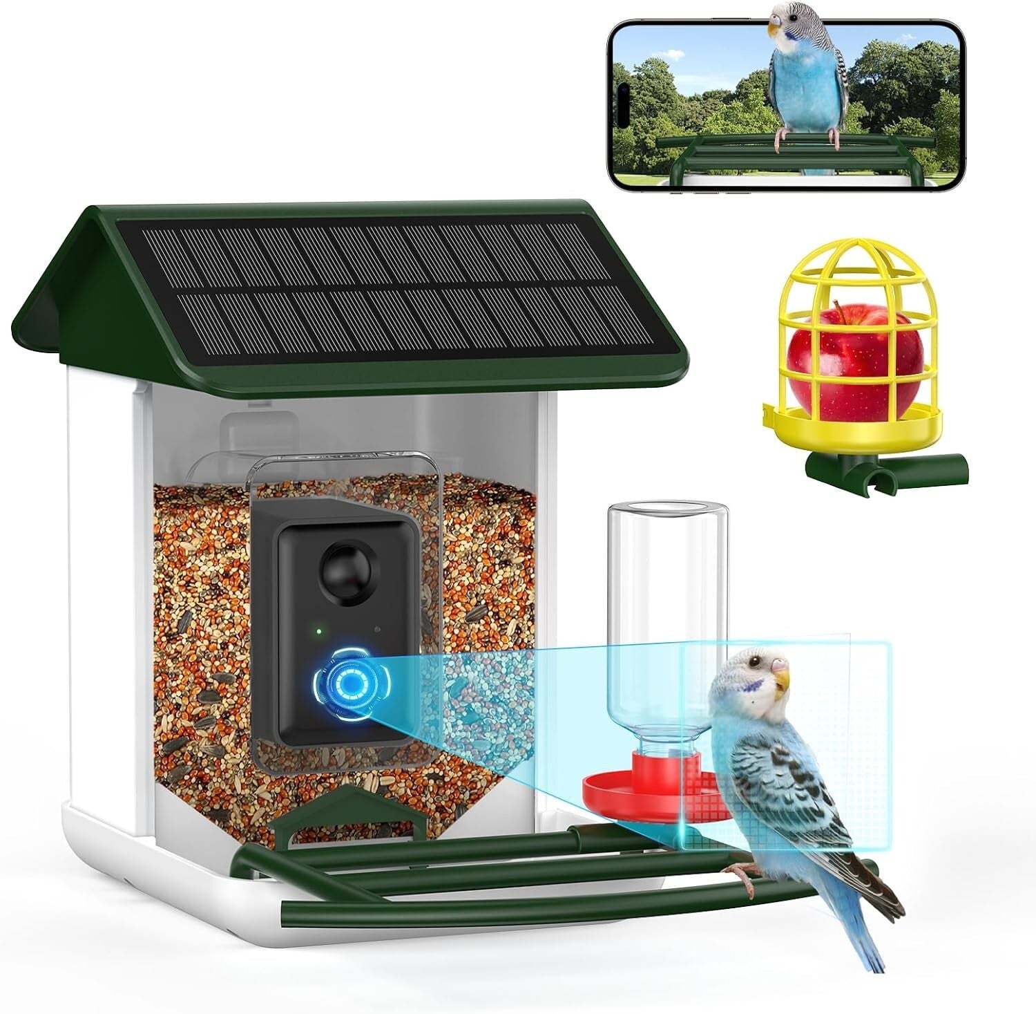1080P HD Bird Feeder Camera with Solar Power and Real-Time App Notifications