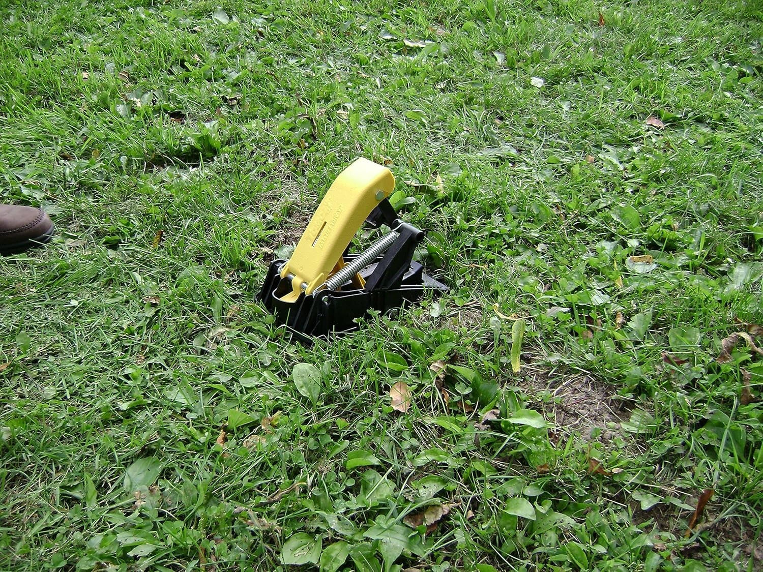 Pack of 2 BioSafe Mole Traps - Effective, Easy-to-Use Mole Removal Solution