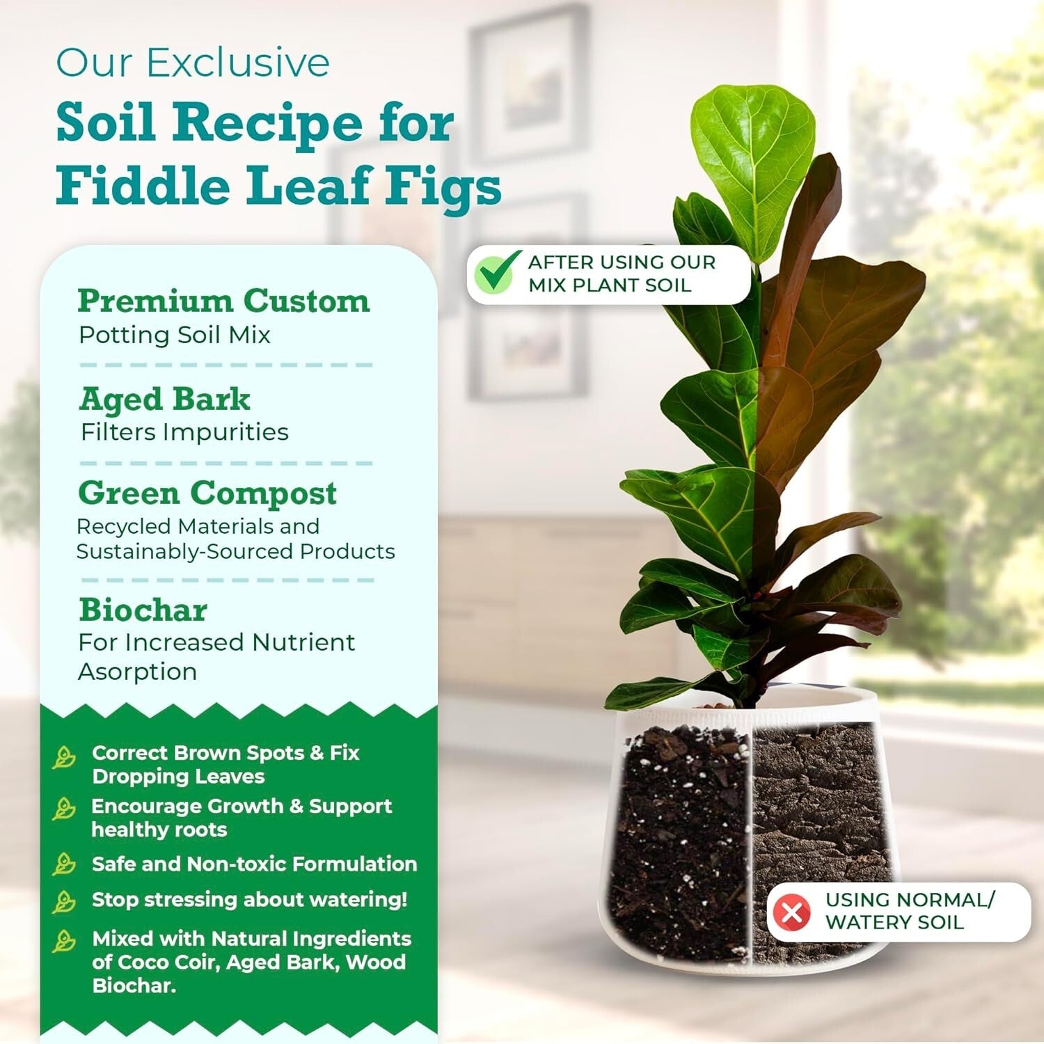 Sustainably Sourced Fiddle Leaf Fig Soil - Nutrient-Rich & Pre-Mixed Solution