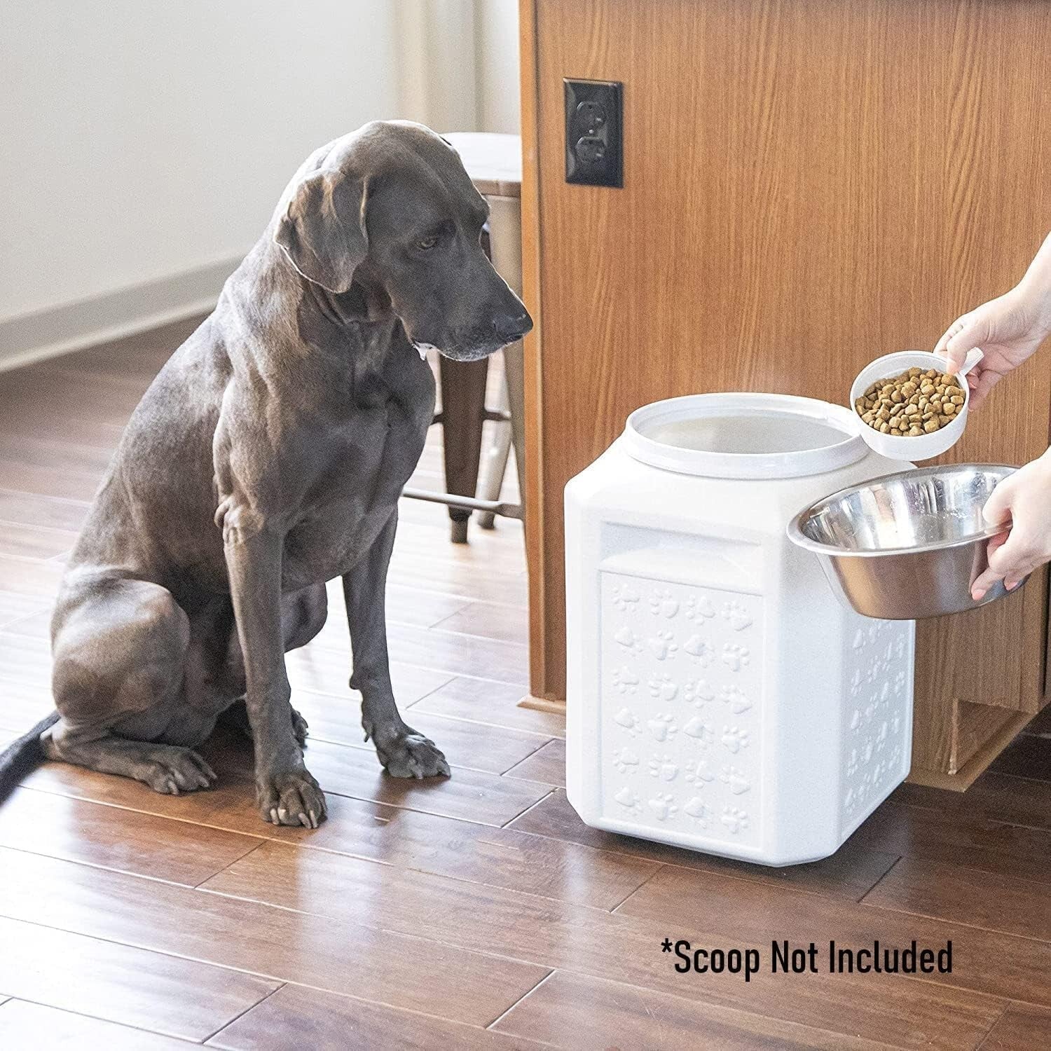 Eco-Friendly Airtight Pet Food Container - 35 lbs Dog and Cat Food Storage Bin