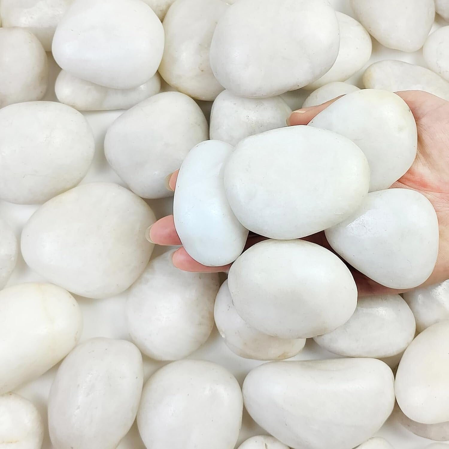 Elegant 20lbs White Pebbles - Ideal for Landscaping, Planters & Creative Decor