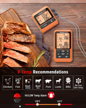 Load image into Gallery viewer, Precision Wireless Meat Thermometer with Dual Probes for Outdoor Cooking &amp; BBQ