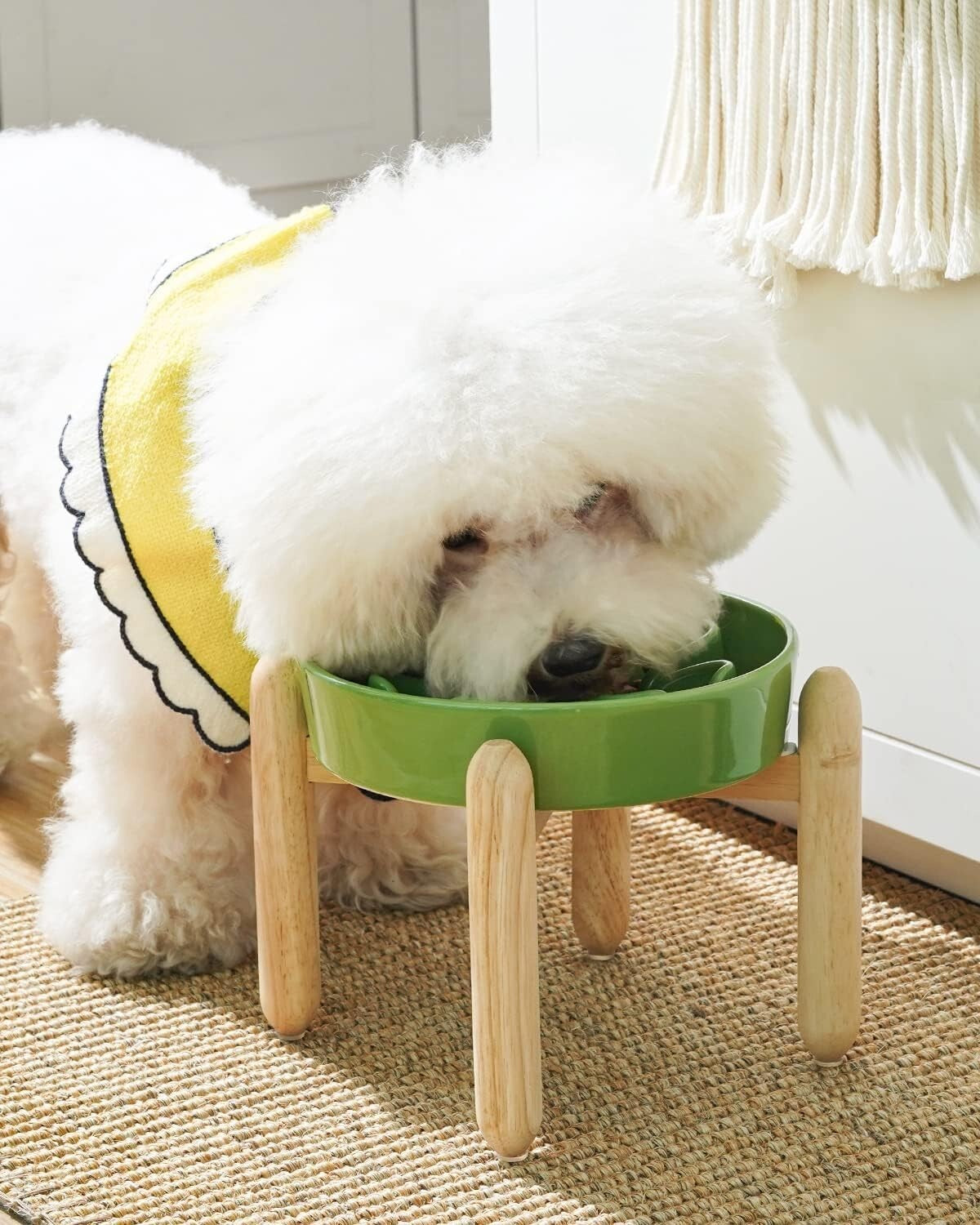 Elevated Ceramic Dog Bowls - Non-Slip Clover Green Dishes for Healthy Feeding