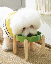 Load image into Gallery viewer, Elevated Ceramic Dog Bowls - Non-Slip Clover Green Dishes for Healthy Feeding