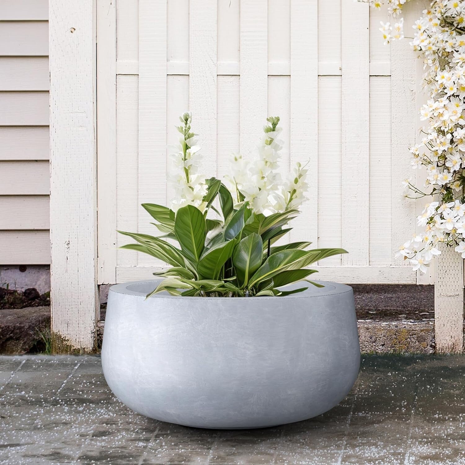 Chic 15.7" Diameter Concrete Plant Pot with Smooth Finish - Perfect for Gardens