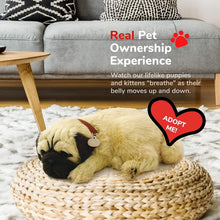 Load image into Gallery viewer, Lifelike Breathing Pug Stuffed Animal - Complete with Accessories &amp; Carrier