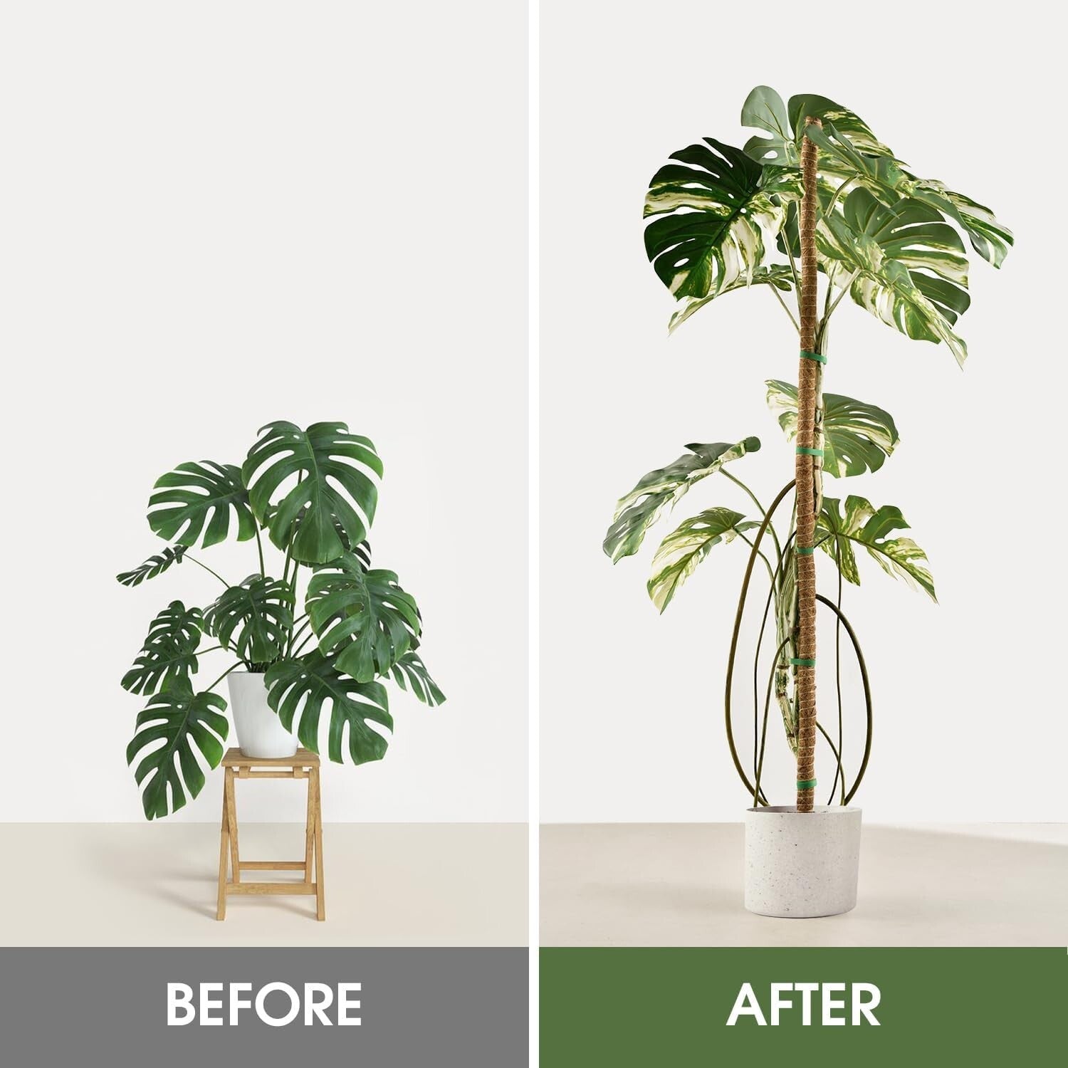 4 Pack Natural Coco Coir Moss Poles - Adjustable Plant Support for Indoor Growth