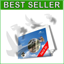 Load image into Gallery viewer, Translucent Bird Strike Prevention Stickers - 3 Sheets of Elegant Silhouettes
