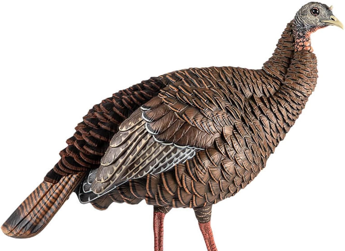 Authentic HDR Hen Turkey Decoy - Detailed, Durable & Portable for Hunters