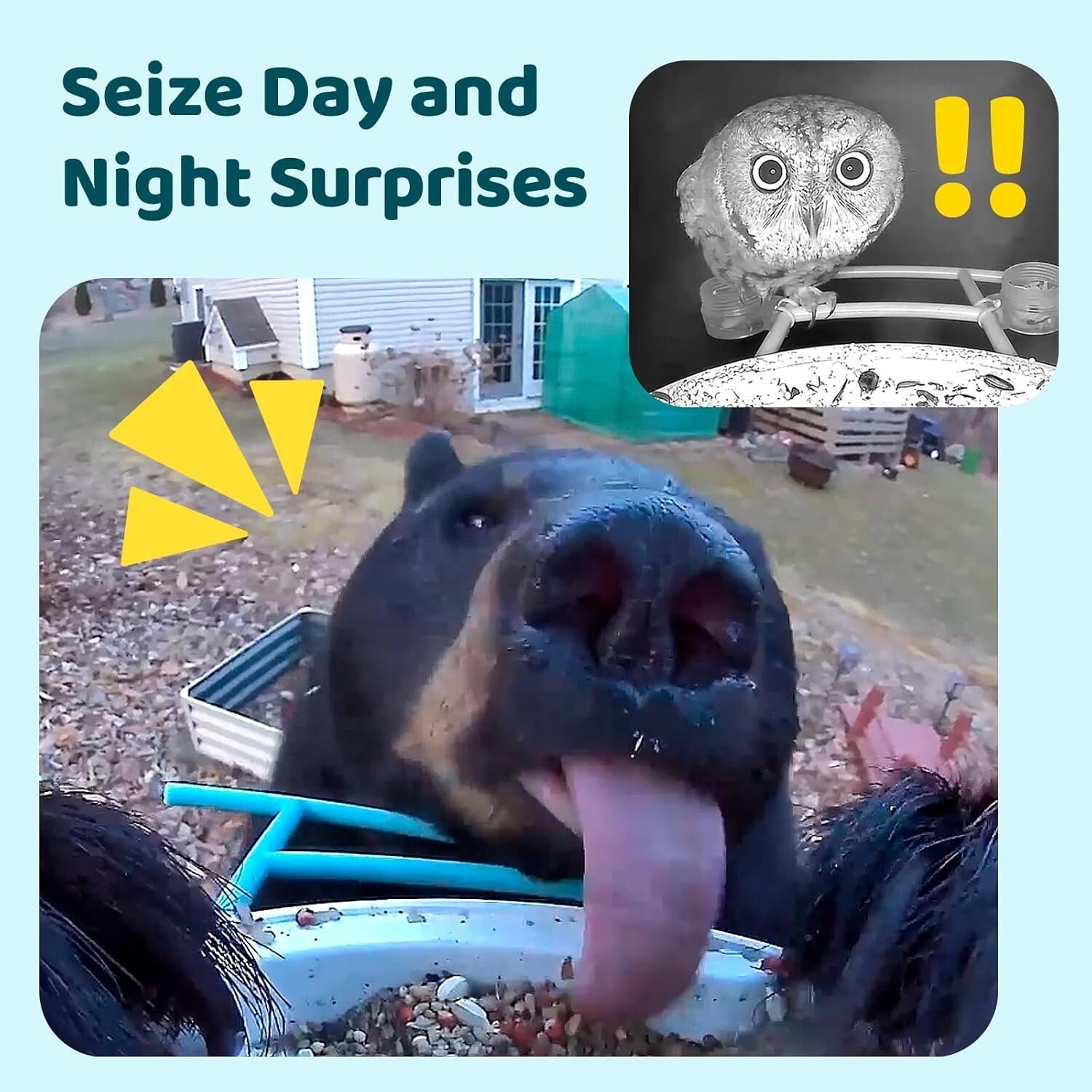 Wireless Smart Bird Feeder with 1.5L Capacity & Night Vision for Bird Lovers