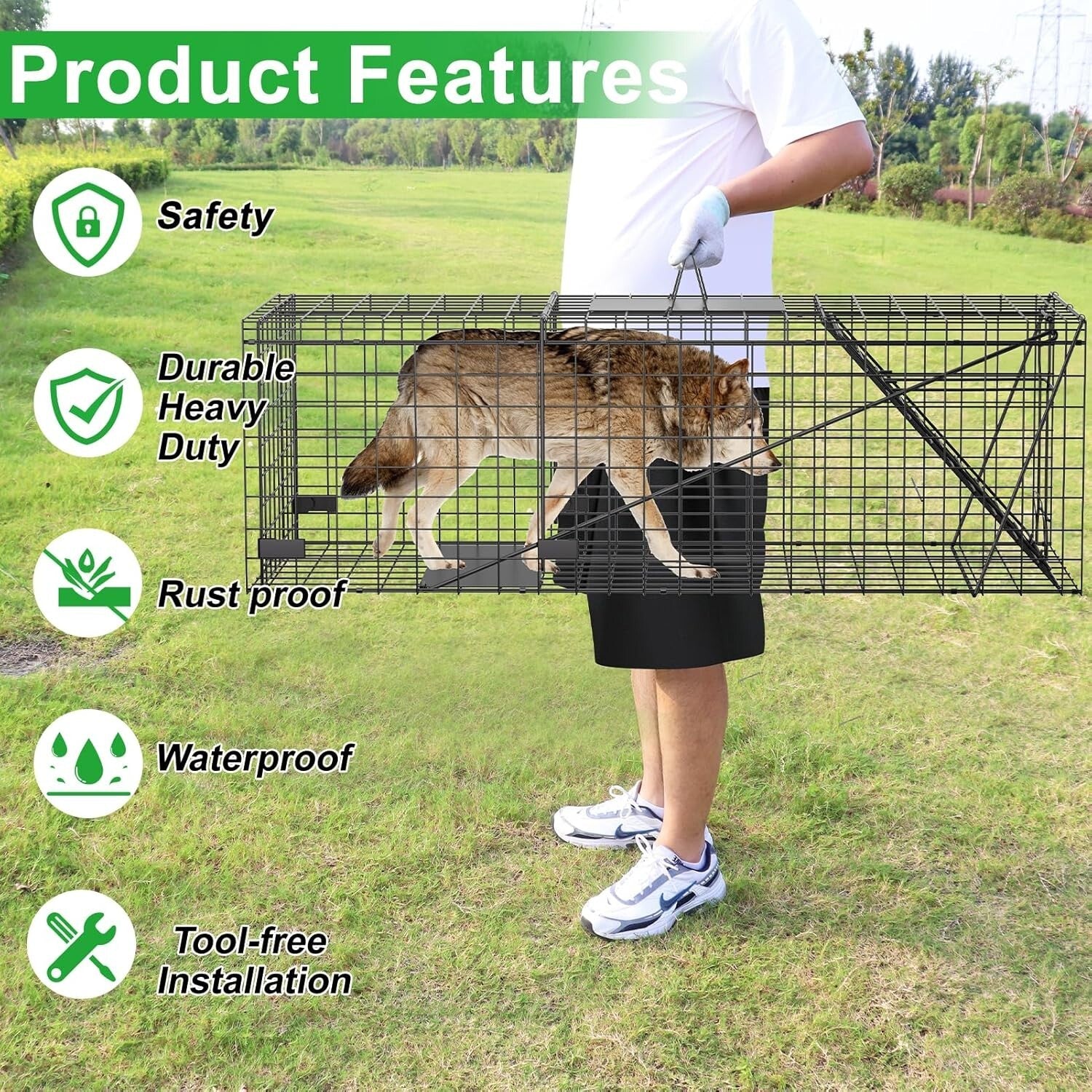 Stainless Steel Large Animal Trap - 51x19x17in for Dogs, Coyotes, Raccoons