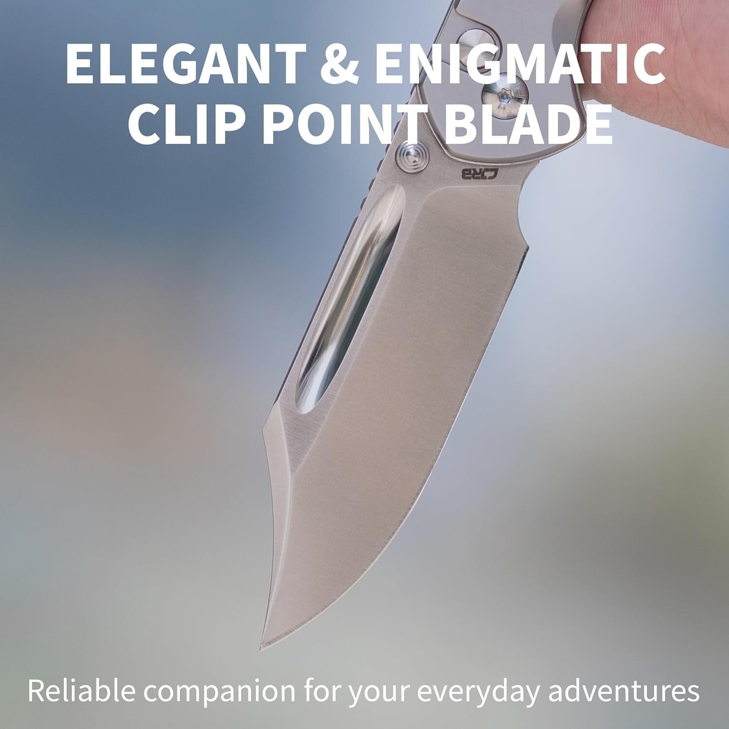 High-Performance Bowie Pyrite Knife - 3.15'' Clip Point Blade for Hunters