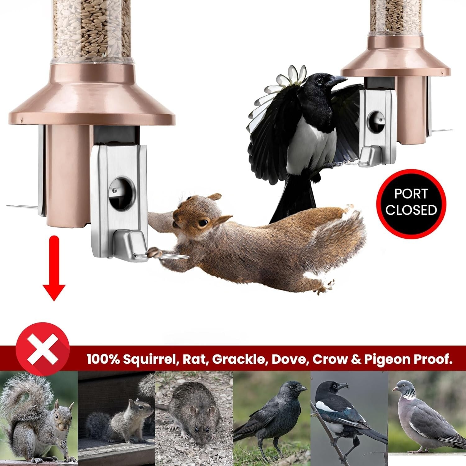 2.0 Squirrel Proof Wild Bird Feeder - 4lb Seed Capacity, Antique Copper Finish