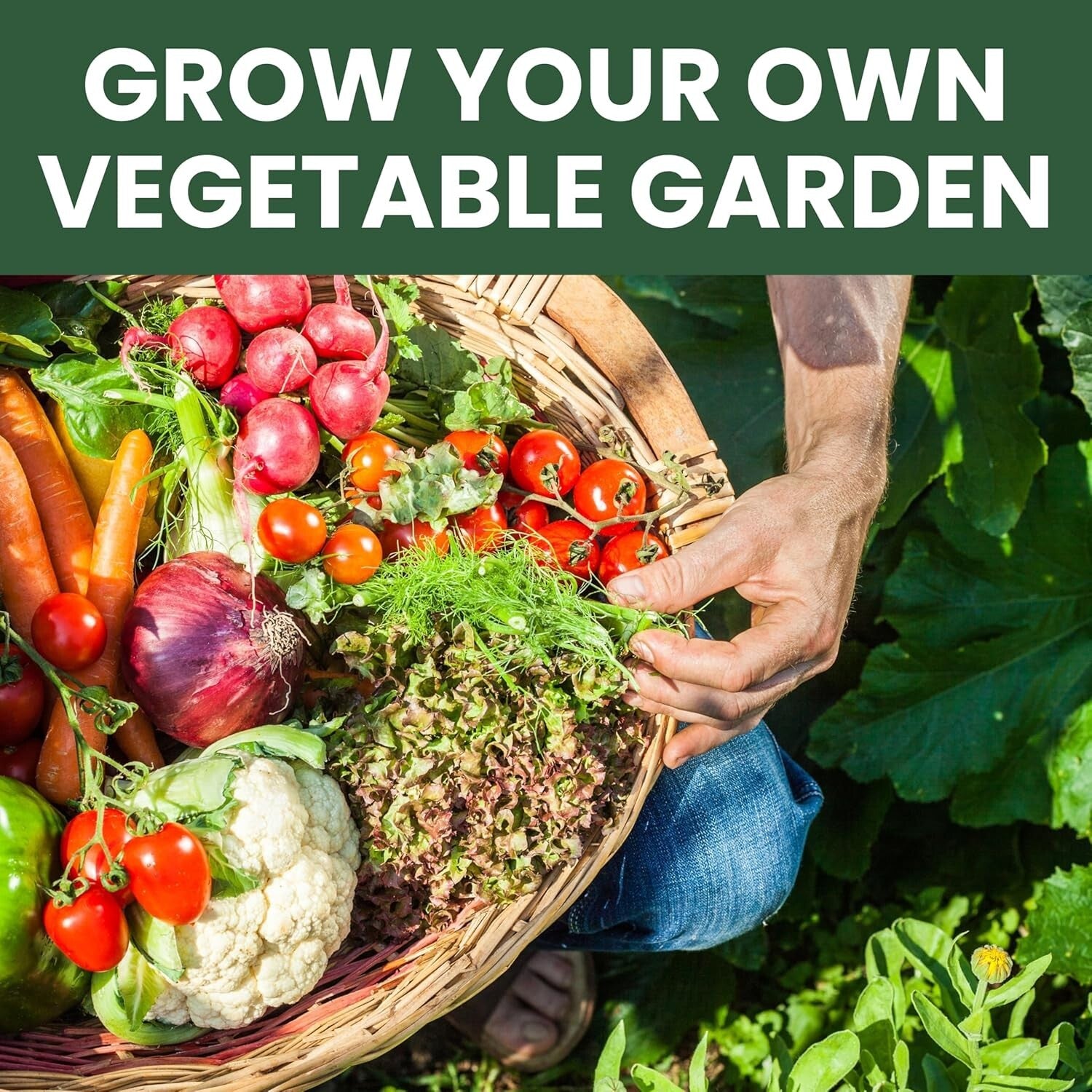 Ultimate 55-Packet Heirloom Vegetable Seed Vault for Doomsday Preppers