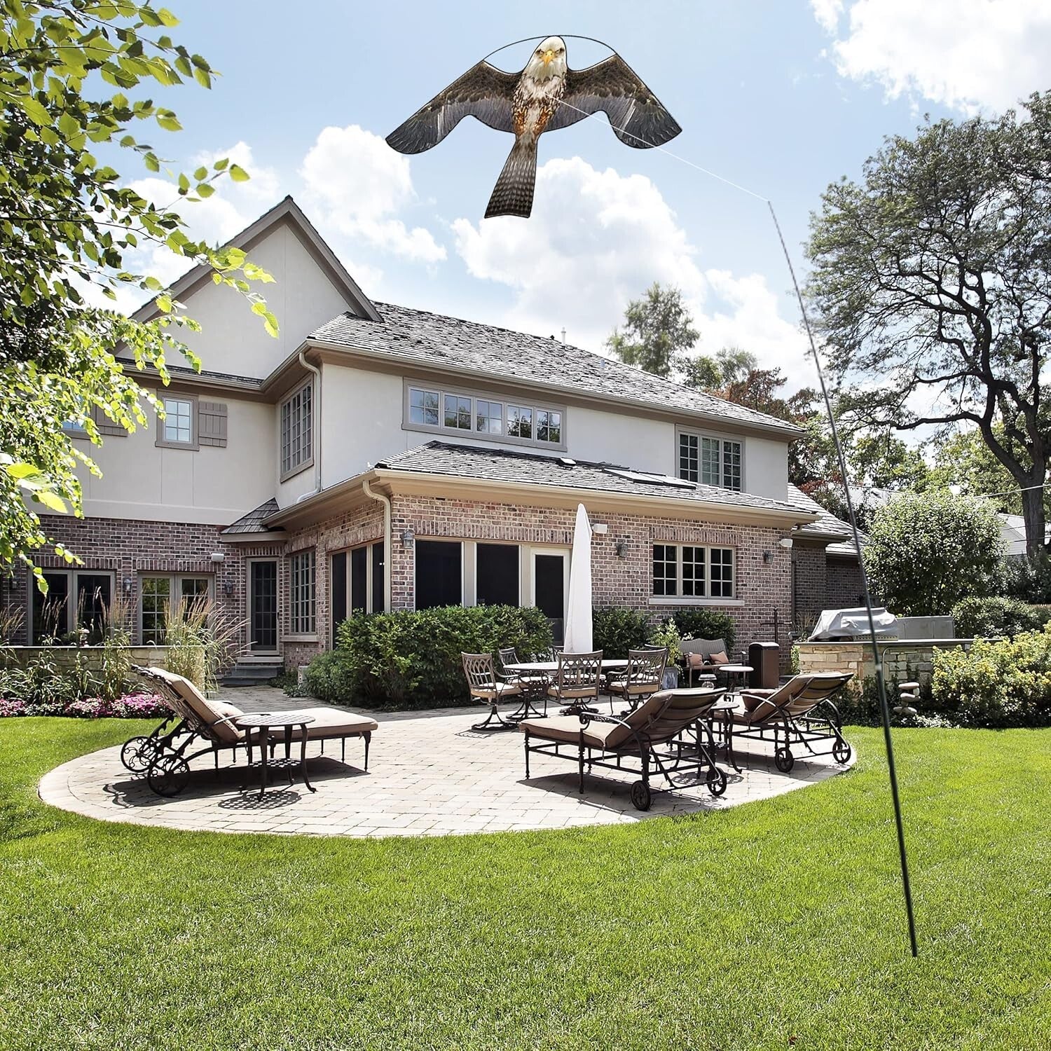 Durable 4m Pole Bird Scarer Kite - Scare Off Birds Safely & Effectively