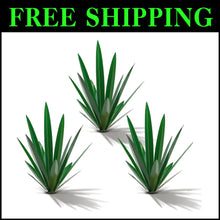Load image into Gallery viewer, Waterproof 3-Pack Metal Tequila Agave Sculptures for Indoor/Outdoor Decor