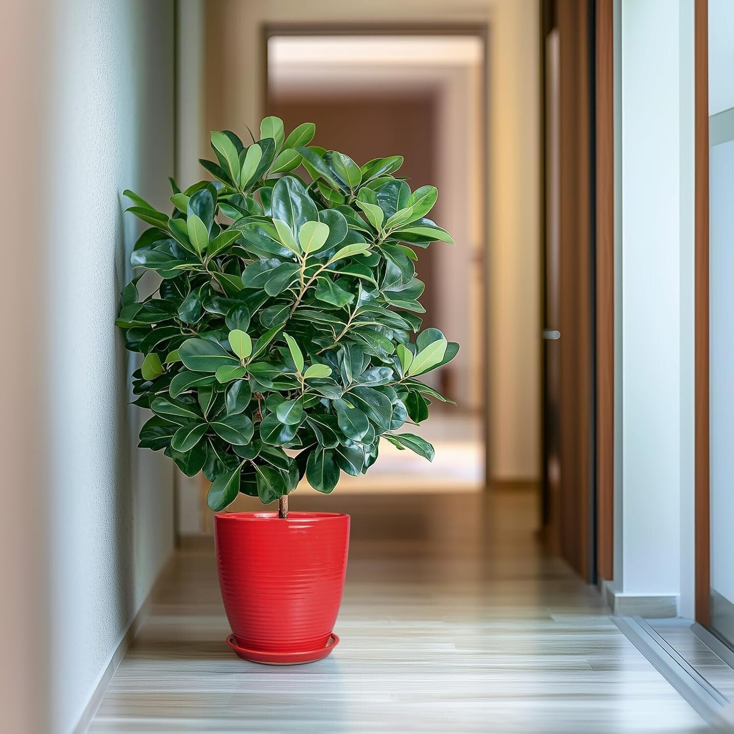 Stylish Round Red Ceramic Planter 10 Inch - Perfect for Flowers & Gifts