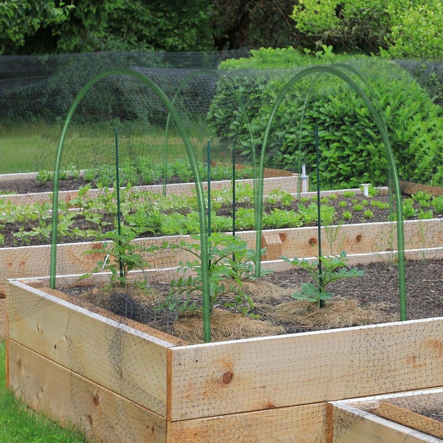 Lightweight 10PC Garden Hoops set, Rust-Free Plant Supports for Easy Gardening