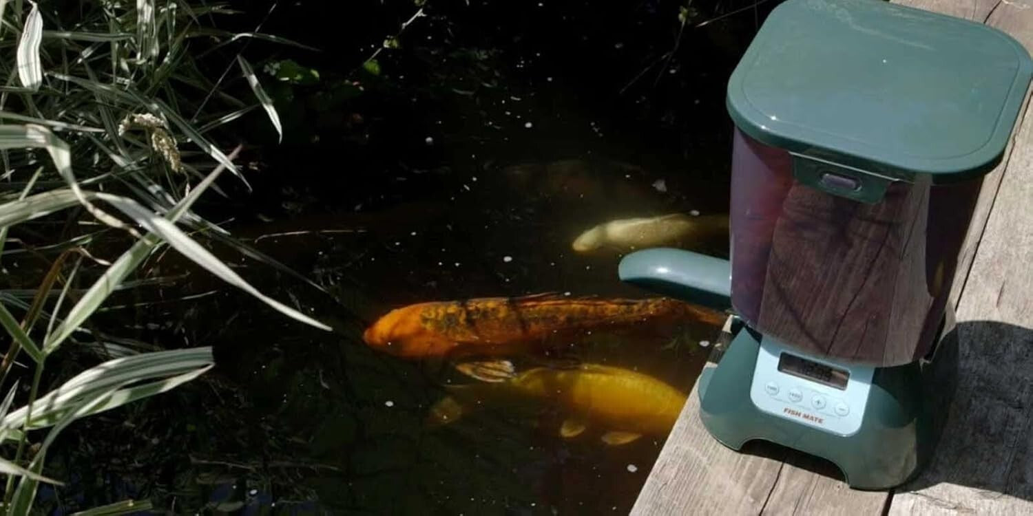 Rain-Resistant Pond Fish Feeder with 6.5 lbs Capacity - Portable & Programmable