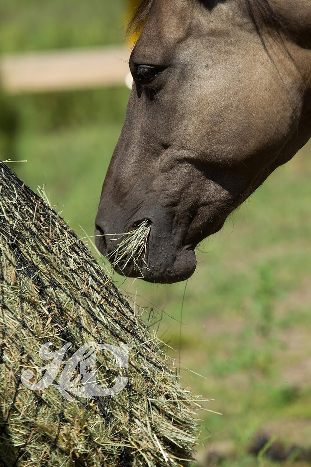 Portable Slow Feed Hay Bag Feeder for Horses – Easy-Fill & Convenient for Travel