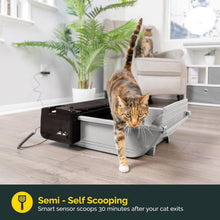Load image into Gallery viewer, Effortless Self-Cleaning Cat Litter Box - Quiet, Compact &amp; for 2 Cats (6-16 lbs)