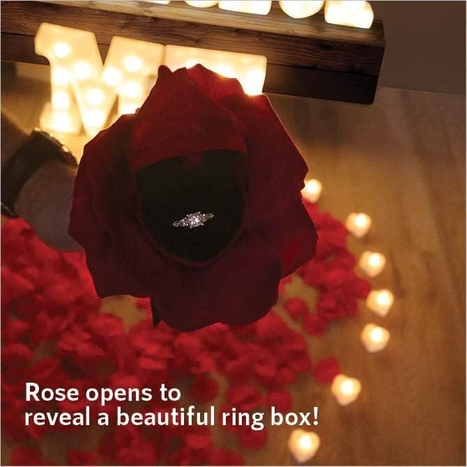 Complete Engagement Decor Kit with Red Carpet, Lights, and Romantic Flowers