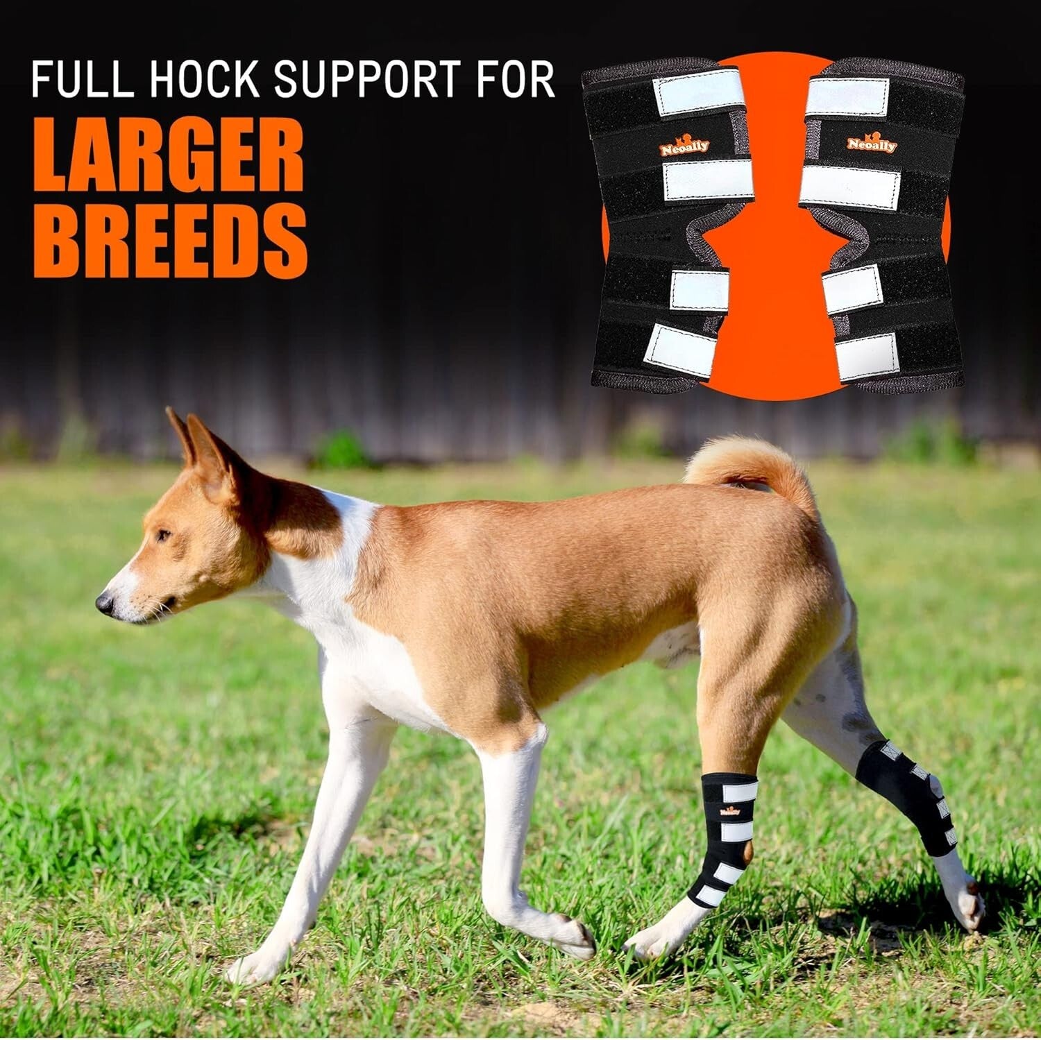 Breathable Neoprene Dog Hock Brace, ACL & CCL Support for Large Breeds, 1 Pair