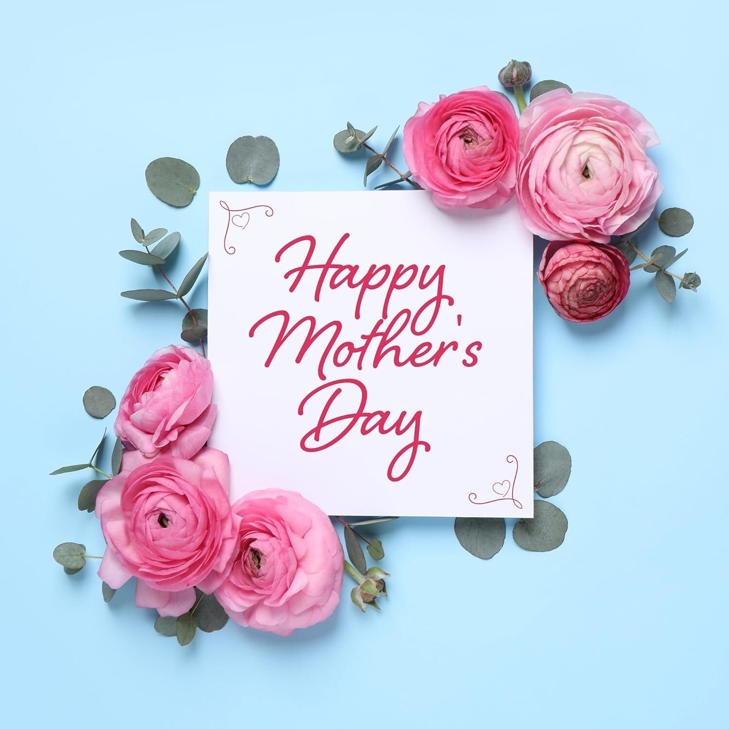 Organic Bonsai Tree Growing Kit with Easy Instructions – Ideal for Beginners