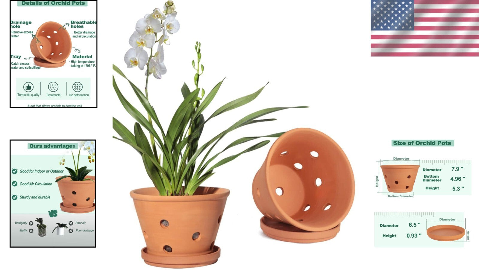 Classic 8-Inch Terracotta Plant Pots with Breathing Holes – Perfect for Orchids