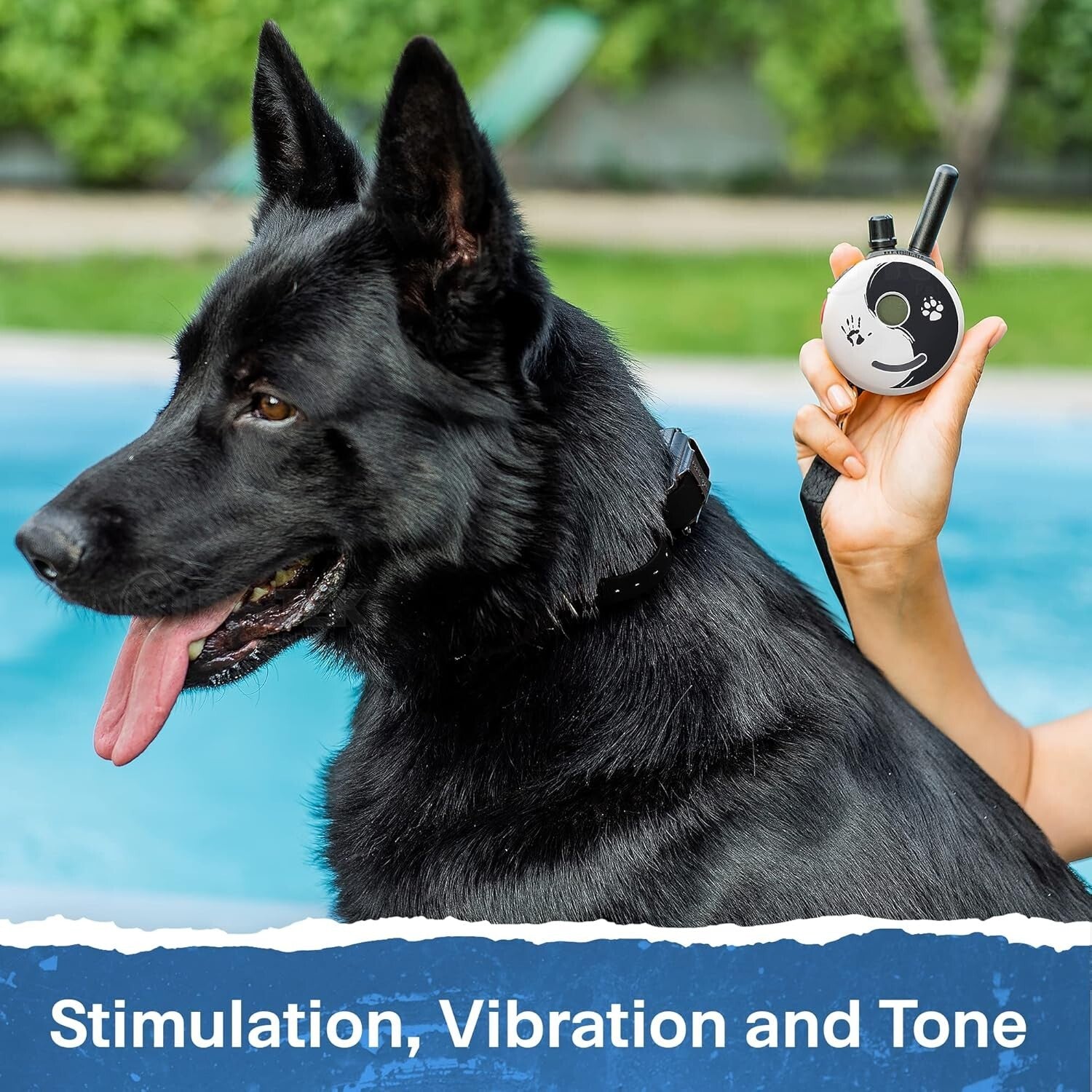 ET-300 Zen Waterproof E-Collar for All Breeds - Fast Charging & Durable Design